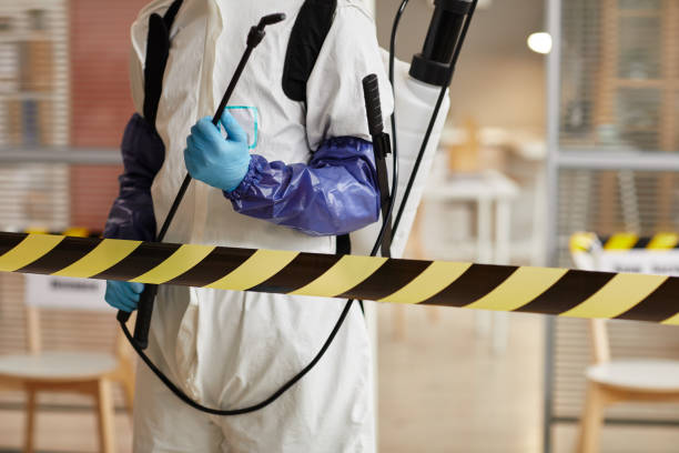 Professional Blood Cleanup technician working in Jamesport, NY
